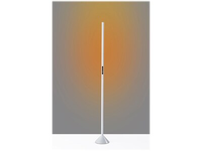 Simplee Adesso Cole 58" Matte Floor Lamp with Tubular Shade (SL4920-02)