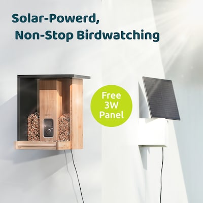 Birdfy Feeder Bamboo with Camera, Solar Panel and AI by Subscription, Multicolored (EPPAMBNI8402110)