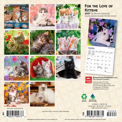 2027 BrownTrout For the Love of Kittens 7 x 7 Monthly Wall Calendar (9798330709731)