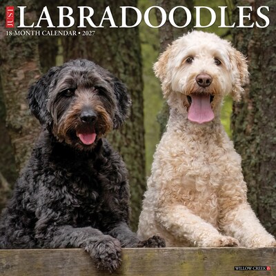 2027 Willow Creek Labradoodles  12 x 12 Monthly Wall Calendar (60971)