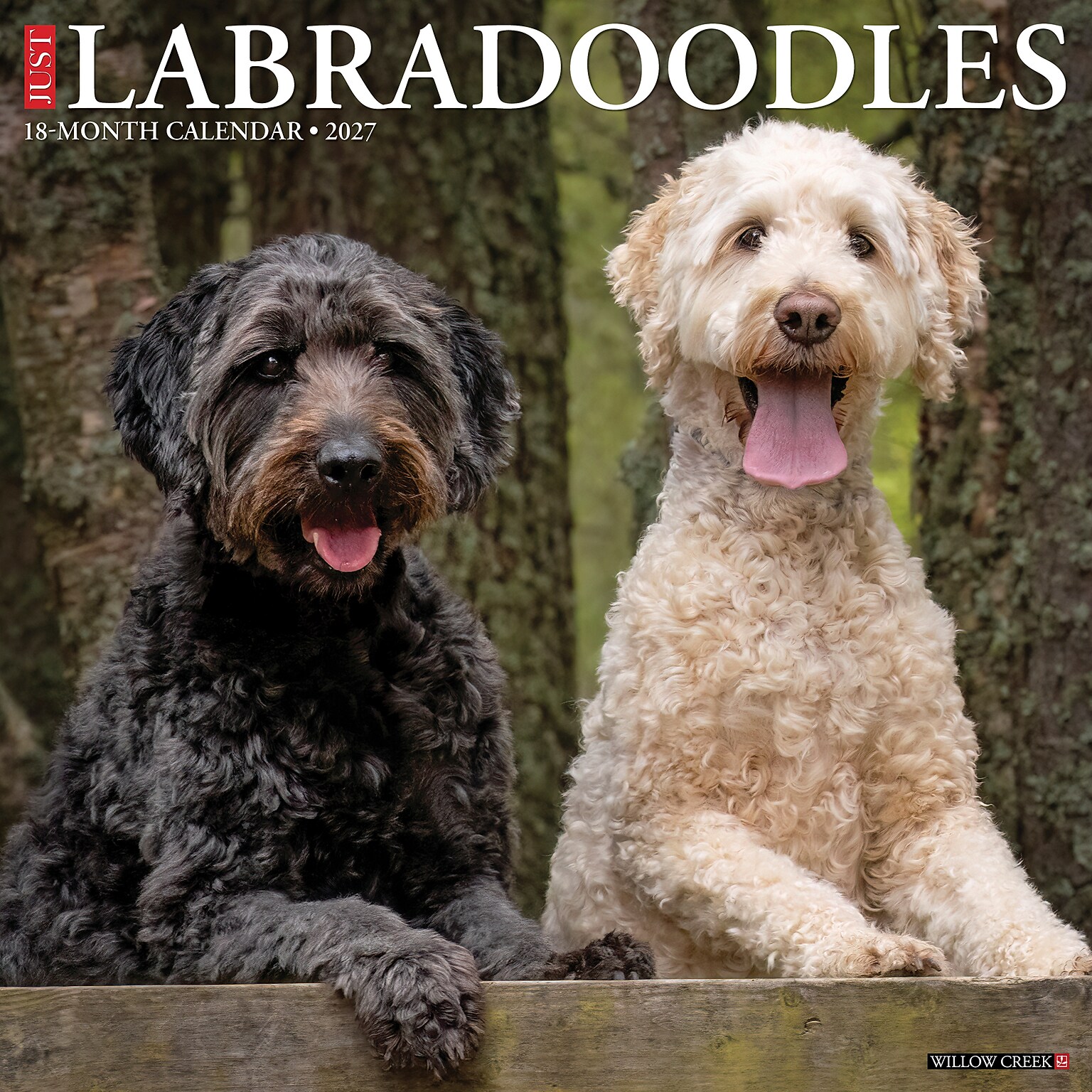 2027 Willow Creek Labradoodles  12 x 12 Monthly Wall Calendar (60971)