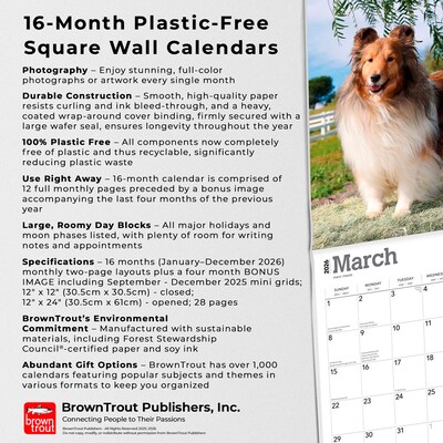 2026 BrownTrout Shetland Sheepdogs 12" x 12" Monthly Wall Calendar (9798330705511)