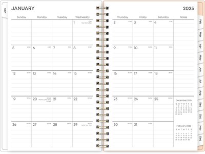 2025 Blue Sky Natalya 5" x 8" Weekly & Monthly Planner, Plastic Cover, Pink/White (148769-25)