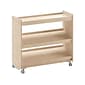 Flash Furniture Bright Beginnings Mobile 2-Section Storage Cart, 31.5"H x 34.75"W x 15.75"D, Brown (MK-ME13705-GG)