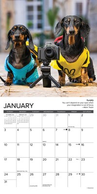 2027 Willow Creek Dachshund Rules 7" x 7" Monthly Wall Calendar (63989)
