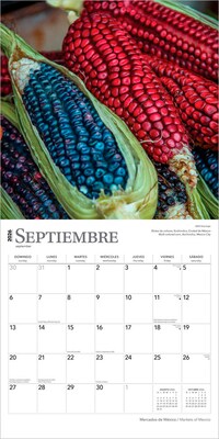 2026 BrownTrout Mercados de Mexico Markets of Mexico 12" x 12" Monthly Wall Calendar (9798330704552)