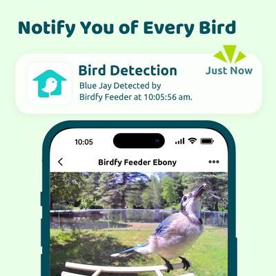 Birdfy Feeder Ebony with Camera, Solar Panel and AI by Subscription, Multicolored (EPPAMBNI8702110)
