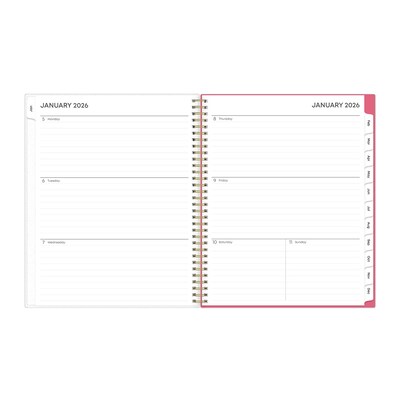 2026 Blue Sky Amalia 8.5 x 11  Weekly & Monthly Planner, Plastic Cover, Multicolored (148767-26)