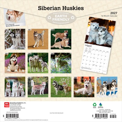 2027 BrownTrout Siberian Huskies 12 x 12 Monthly Wall Calendar (9798330712694)