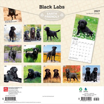 2027 BrownTrout Black Labrador Retrievers 12 x 12 Monthly Wall Calendar (9798330712557)