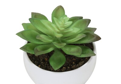 Monarch Specialties Inc. 6" Artificial Succulent Plant in Pot, 3/Set (I 9555)