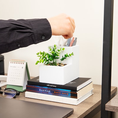 Mind Reader 2-Compartment Desk Organizer, White (PLANDORG-WHT)