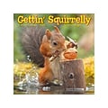 2023 Willow Creek Gettin Squirrelly 7 x 7 Monthly Wall Calendar (28483)