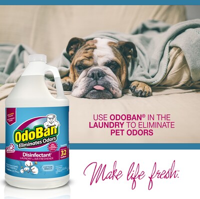 OdoBan Air Freshener & Deodorizer, Cotton Breeze Scent, 1 Gallon (911801-G4)