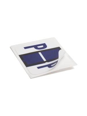 Smead BCCR Labels File Folder Label, P, Violet, 500 Labels/Pack (67086)