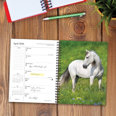 2026 Willow Creek What Horses Teach Us 6.5" x 8.5" Daily & Monthly Personal Organizer (54697)
