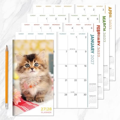 2027 TF Publishing Kitten 3.5" x 6.5"  Monthly Standard Planner, Paperboard Cover, Multicolored (27-7022)