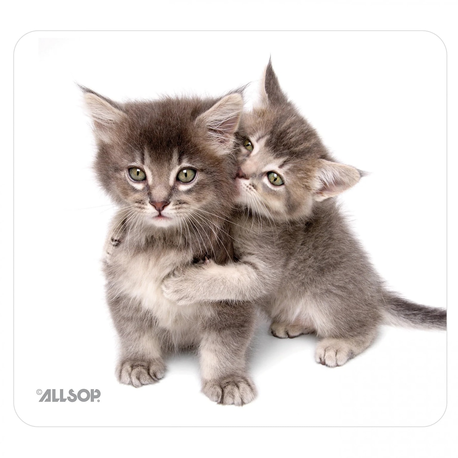 Allsop NatureSmart Non-Skid Mouse Pad, Kittens (30184)