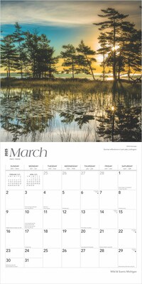 2025 BrownTrout Michigan Wild & Scenic 12" x 24" Monthly Square Wall Calendar (9781975475277)