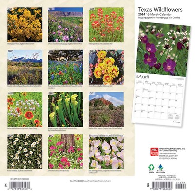 2024 BrownTrout Texas Wildflowers 12" x 24" Monthly Wall Calendar (9781975465353)