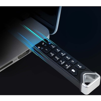 iStorage datAshur PRO2 256GB USB 3.2 Type A Flash Drive, Black (IS-FL-DP2-256-256)