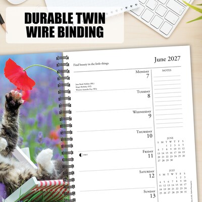 2027 Willow Creek What Cats Teach Us 6.5" x 8.5" Weekly & Monthly Desk Calendar (64443)