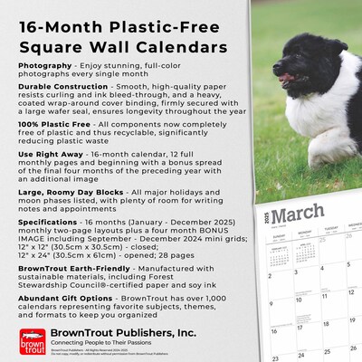 2025 BrownTrout Newfoundlands 12" x 12" Monthly Wall Calendar (9781975477479)