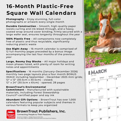 2026 BrownTrout Colts and Fillies 12" x 12" Monthly Wall Calendar (9798330703012)