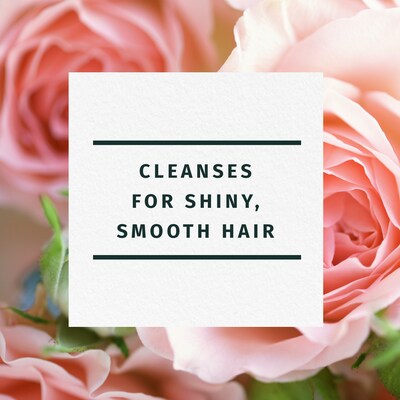 Herbal Essences Smoothing Shampoo, Rose Hips, 3.38 fl oz., 24/Carton (706)