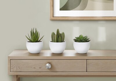 Monarch Specialties Inc. 6 Artificial Succulent Plant in Pot, 3/Set (I 9555)