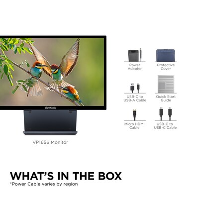 ViewSonic ColorPro 16" 75Hz LED Monitor, Black (VP1656)