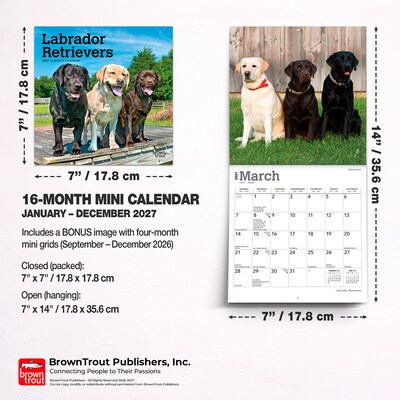 2027 BrownTrout Labrador Retrievers 7" x 7" Monthly Wall Calendar (9798330710034)
