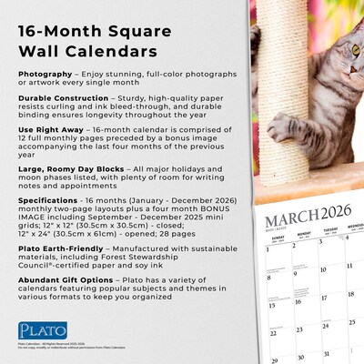 2026 Plato I Love Cats 12" x 12" Monthly Wall Calendar (9798330706808)
