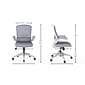 RAYNOR GROUP ION Fabric Task Chair, Gray/White (ION-WH-GRY)