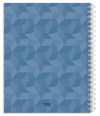 2026 BrownTrout Cat Lovers 6.5 x 7.75 Weekly Planner (9798330702763)
