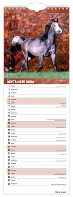 2026 BrownTrout Horse Lovers 5.88" x 16.5" Monthly Wall Calendar (9798330703722)