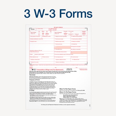 Adams 2025 W-2 Tax Forms Kit, 6-Part, 2-Up, A, 1, B, C, 2 & D, 12/Pack (STAX612-25)