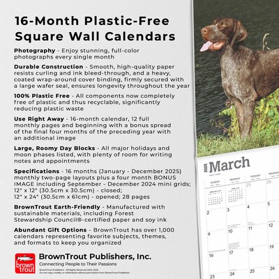2025 BrownTrout German Shorthaired Pointers 12" x 12" Monthly Square Wall Calendar (9781975477028)