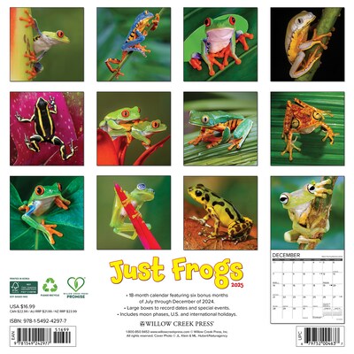 2025 Willow Creek Just Frogs 12 x 12 Monthly Wall Calendar (42977)