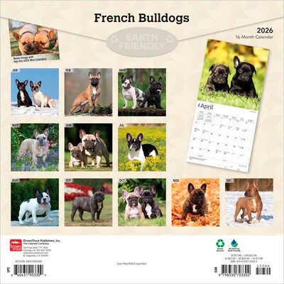2026 BrownTrout French Bulldogs 12 x 12 Monthly Wall Calendar (9798330703302)