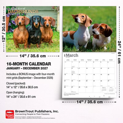 2027 BrownTrout For the Love of Dachshunds 14" x 12" Monthly Wall Calendar, Assorted Colors (9798330709243)