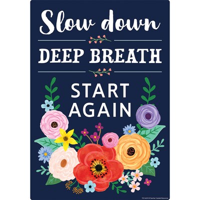 Teacher Created Resources 11" x 15-3/4" Wildflowers Positive Sayings Small Poster Pack, 12/Pack (TCR6624)
