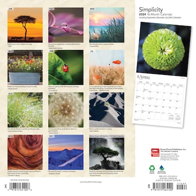 2024 BrownTrout Simplicity 12" x 24" Monthly Wall Calendar (9781975465100)