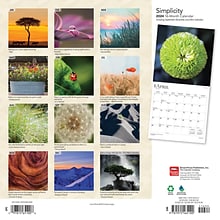2024 BrownTrout Simplicity 12 x 24 Monthly Wall Calendar (9781975465100)