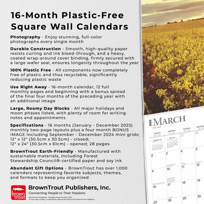 2025 BrownTrout Blessings 12" x 12" Monthly Wall Calendar (9781975476656)