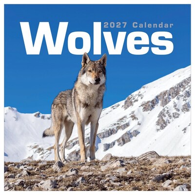2027 TF Publishing Wolves 12 x 12 Monthly Wall Calendar, Multicolored (27-1035)