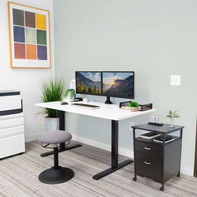 Mount-It! 2-Drawer Mobile File Cabinet, Rolling With Casters, Black (MI-943)