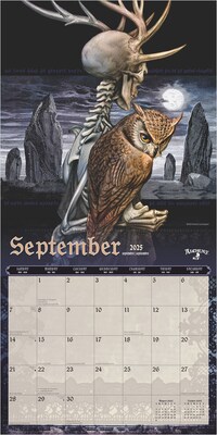 2025 BrownTrout Alchemy Gothic  12" x 12" Monthly Square Wall Calendar (9781975483104)