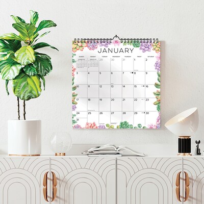 2027 Willow Creek Succulents 12 x 12 Monthly Wall Calendar, Assorted Colors (65617)
