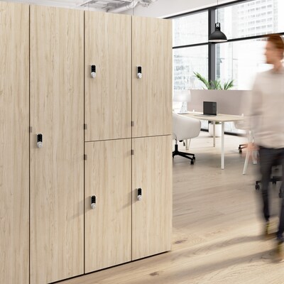 Bush Business Furniture Assure 72"H 2-Tier Natural Elm Storage Lockers (AUS130NEK)